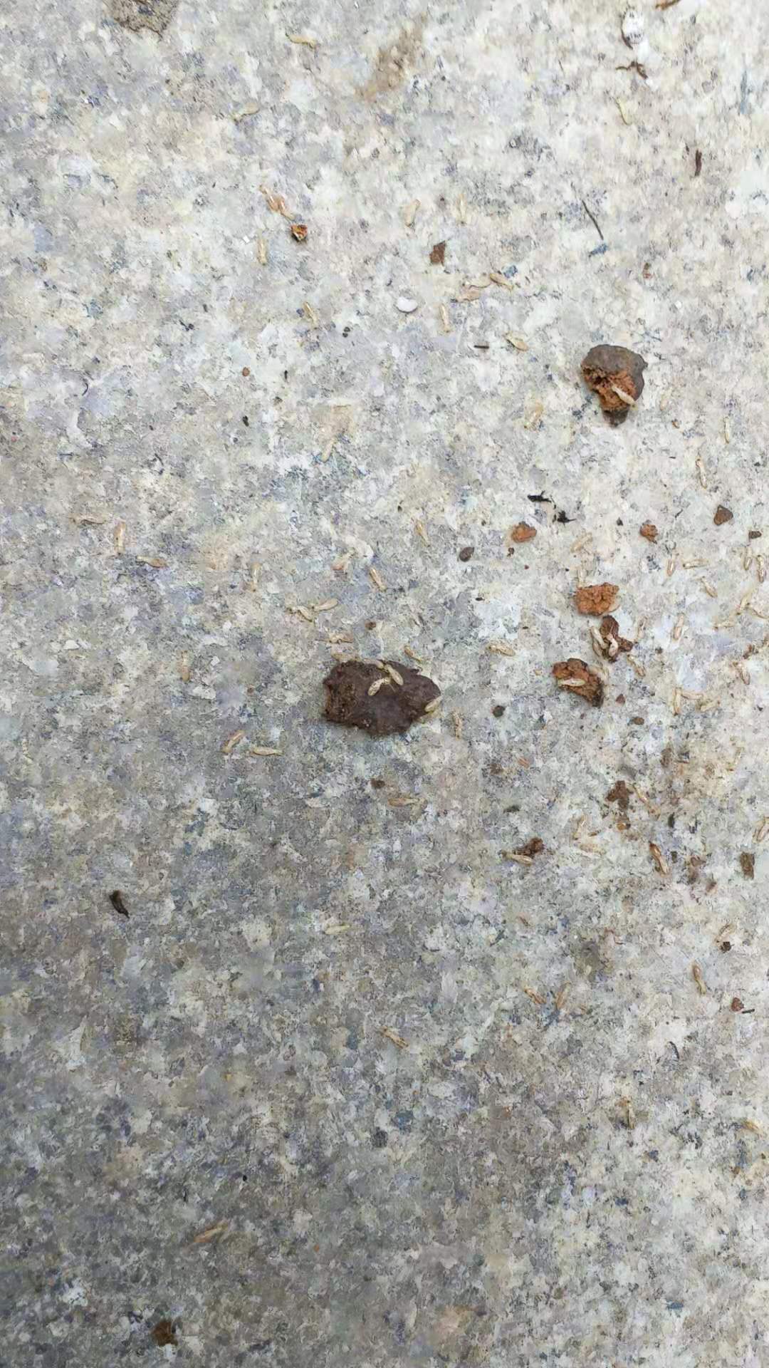 \